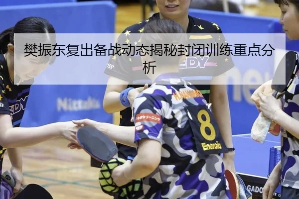 樊振东复出备战动态揭秘封闭训练重点分析